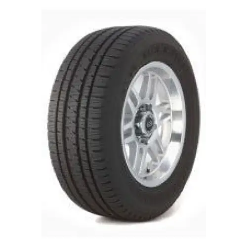 BRIDGESTONE ALENZA 001 255 55 19 107 W - CrazyGomma